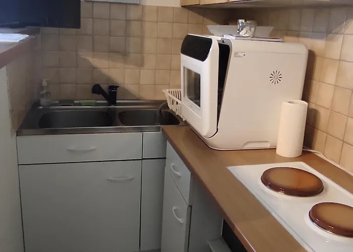 Vue Montagne, Parking Inclus, 4 Personnes - Fr-1-814-159 Appartement *